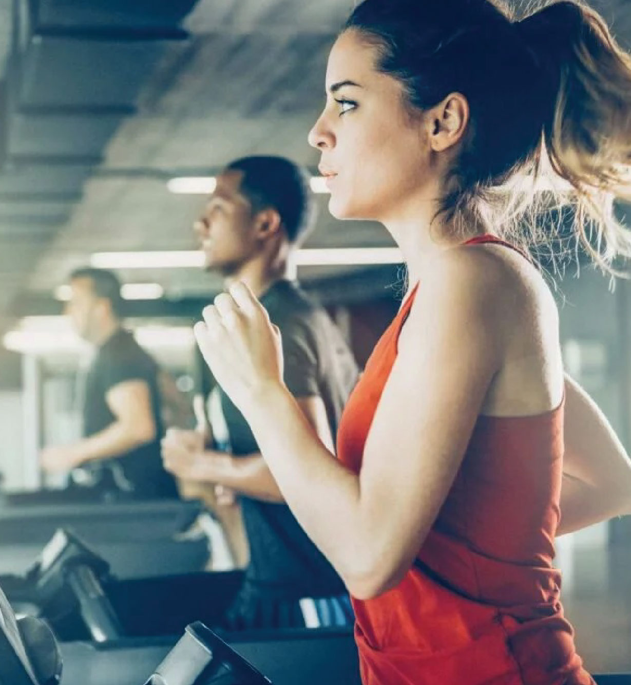 gymmnasium gymmnasium